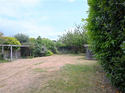 Picture 16